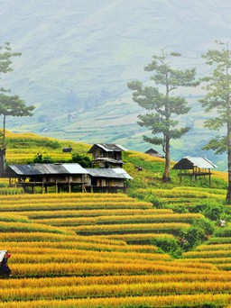 Những địa danh nên thơ của Việt Nam lọt đề cử Giải thưởng Du lịch Thế giới