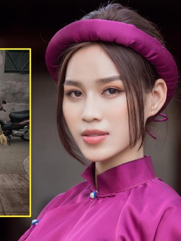 Đỗ Thị Hà đưa hình ảnh làm nông vào clip dự thi 'Miss World 2021'