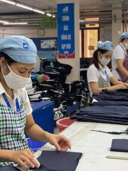 51 doanh nghiệp được hỗ trợ kỹ thuật, tư vấn cải tiến sản xuất