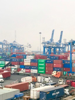 7 hiệp hội doanh nghiệp kiến nghị về phí cảng biển của TP.HCM