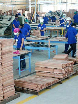 Nhiều doanh nghiệp xuất khẩu gỗ 'chốt' xong đơn hàng hết năm 2022