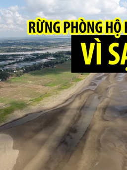 Sạt lở dữ dội xóa sổ nhiều vùng đất ở Đồng Bằng Sông Cửu Long