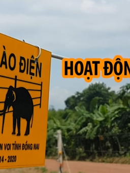 Cảnh báo nạn trộm cắp tại hàng rào bảo vệ voi ở Đồng Nai