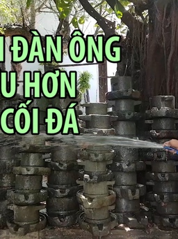 Người đàn ông sở hữu hơn 5.000 cối đá ở Nha Trang