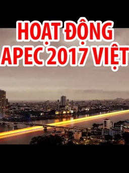APEC 2017 tại Việt Nam: một năm sôi động