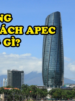 Đà Nẵng đãi khách quý APEC món gì: Mì Quảng hay bánh tráng cuốn thịt heo?