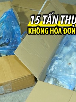 Bắt xe tải chở 15 tấn thực phẩm không hóa đơn chứng từ