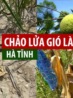 Quay cuồng sống trong “chảo lửa” gió Lào ở Hà Tĩnh