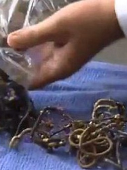 'Món độc' của một chú chó