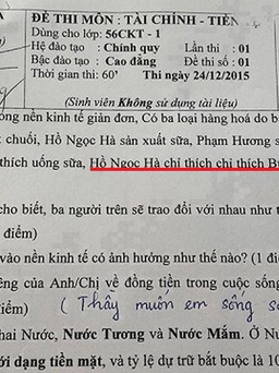 Đề thi giả sử 'Hồ Ngọc Hà thích bưởi, Phạm Hương thích chuối' gây sốt
