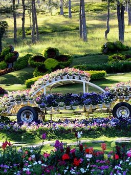 Những không gian hoa ấn tượng tại Festival hoa 2015