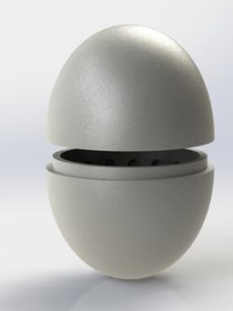 Trứng điện tử bảo vệ loài kền kền