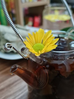 Tự làm trà thiên nhiên giúp kháng viêm, giảm béo khỏe, đẹp từ lá sen khô và tươi