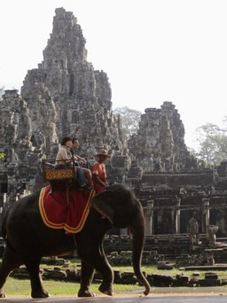 Campuchia cấm cưỡi voi tại đền Angkor Wat