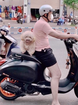 Có nên dắt thú cưng đến nhà người quen chơi tết?