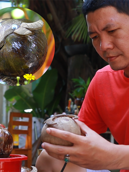 Người đàn ông tạo bonsai dừa hình trâu bán giá tiền triệu
