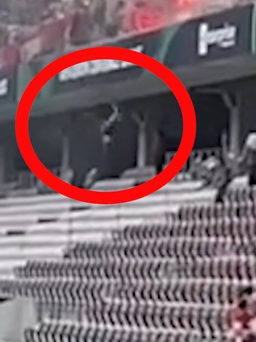 Sốc với video CĐV rơi khỏi tầng cao khán đài trước trận Nice - Cologne