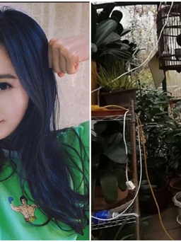 Dương Mịch nấu nướng, nuôi chim khi 'thất nghiệp' thời virus corona