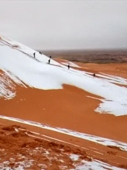 Chuyện lạ: Sa mạc Sahara phủ đầy.. tuyết!