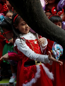 Không có tuần lộc, ông già Noel xứ nhiệt đới cưỡi voi đi trao quà