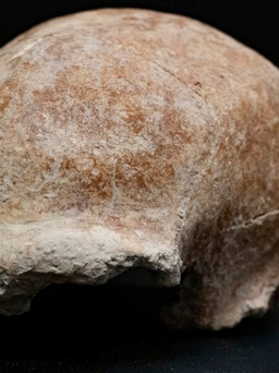 Hang động tiền sử giúp lưu giữ 9 hài cốt người Neanderthal