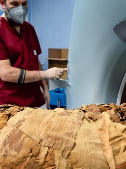 'Khám nghiệm tử thi' xác ướp Ai Cập bằng chụp CT cho biết thông tin thú vị gì?