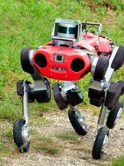 Làm sao để 'chó robot' vượt đường gập ghềnh mà không ngã?