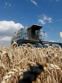 Moscow bác cáo buộc quân đội Nga 'trộm' ngũ cốc từ Ukraine