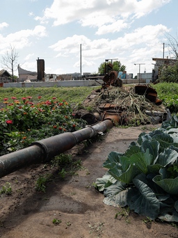 Khu vườn tươi xanh của anh nông dân Ukraine quanh xác xe tăng Nga