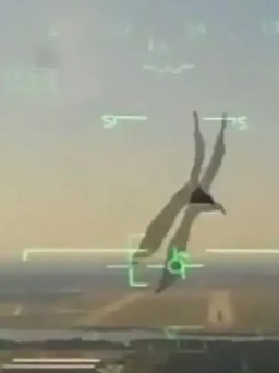 Cận cảnh cú lao 'tự sát' của chim hạ gục máy bay quân sự Mỹ