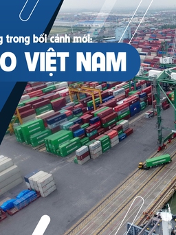 Chuỗi cung ứng mới sau đại dịch: Việt Nam cần gì để củng cố vị trí?