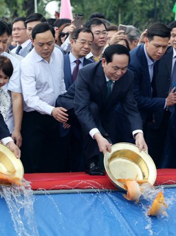 Chủ tịch nước thả cá chép 'tiễn ông Táo' cùng kiều bào