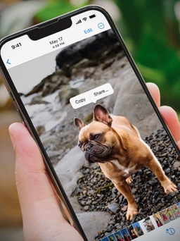 Cách loại bỏ nền khỏi bất kỳ hình ảnh nào trong iOS 16