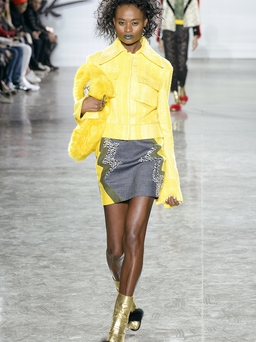 Fall 2016 Ready-to-Wear