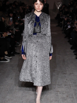 Fall 2016 Ready-to-Wear