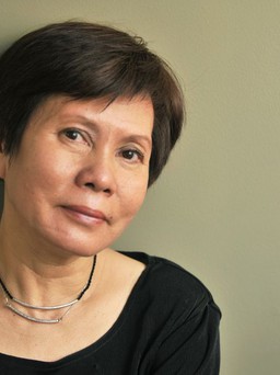 Việt Linh và mảng màu khác