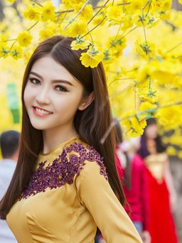 Vẫn rất “máu” tham dự các cuộc thi sắc đẹp