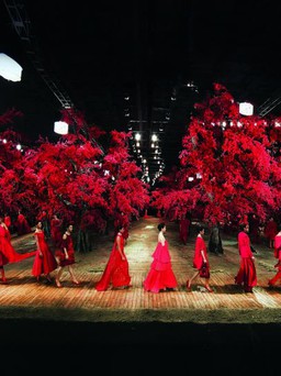 Đỗ Mạnh Cường: Yêu tất cả những gì mình làm