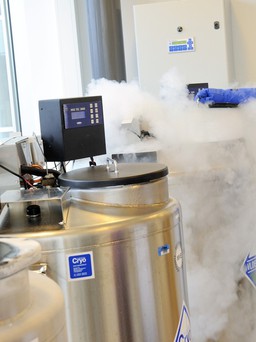 Khi nàng mong con hơn chồng