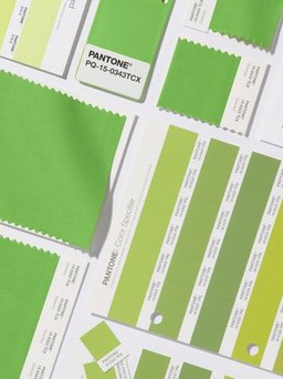 Pantone công bố tông màu của năm 2017