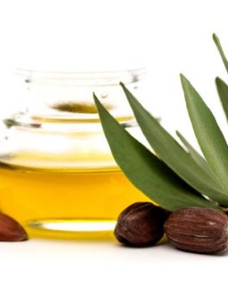 Sự kì diệu của dầu Jojoba đối với làn da