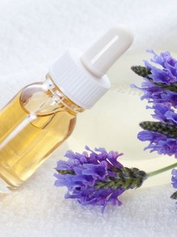 Những sản phẩm làm đẹp cho người sở hữu da dầu