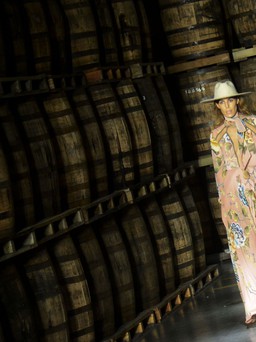 Nơi những câu chuyện mới mẻ ra đời