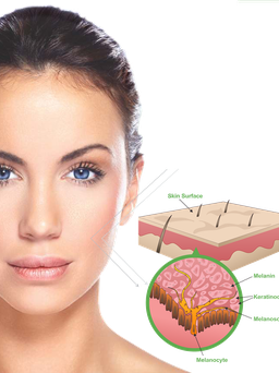 Các phương pháp chống lão hóa da