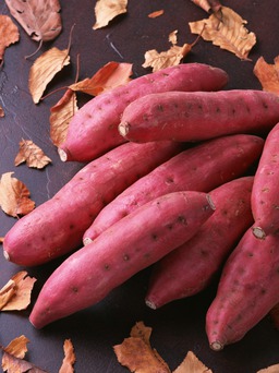 Màu sắc nói lên điều gì?