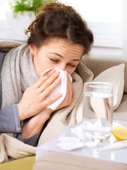 Bệnh từ vật sang người