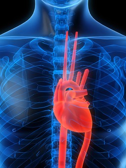 Ngất xỉu - báo hiệu bệnh gì?