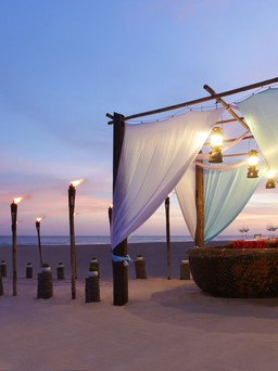 Ốc đảo vùng nhiệt đới