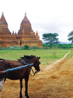 Nhớ thu Bagan