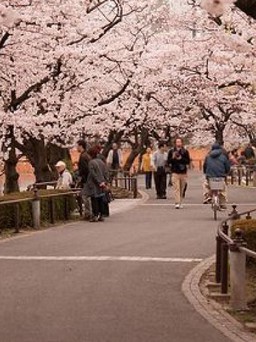 8 địa điểm du lịch lãng mạn tại Châu Á dành cho các cặp đôi